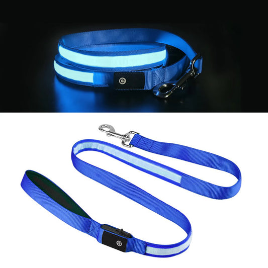 DogDisplay Leash