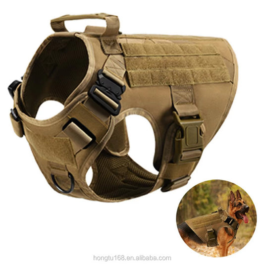 Lifetime Harness