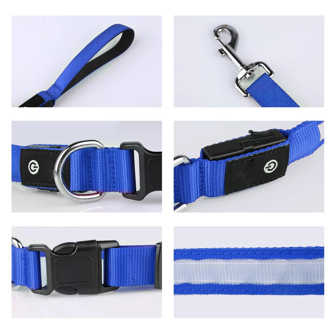 DogDisplay Leash