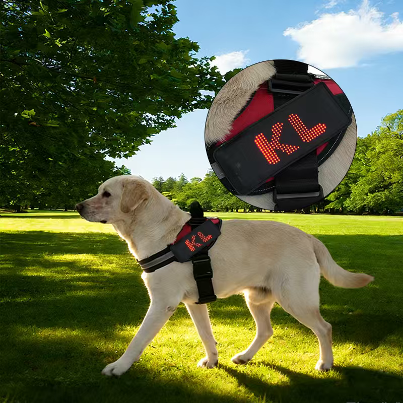 DogDisplay Harness Pro