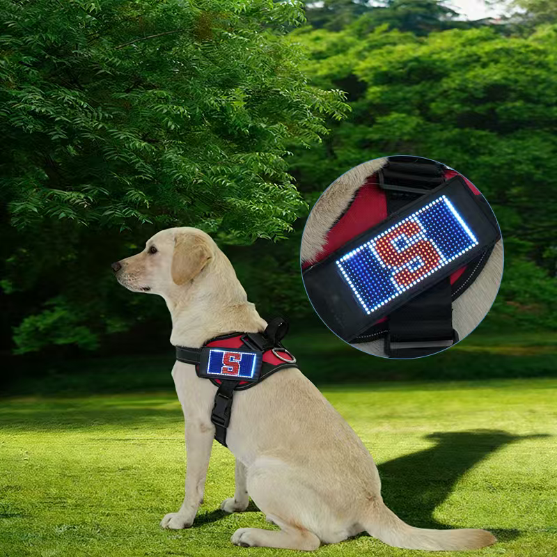 DogDisplay Harness Pro