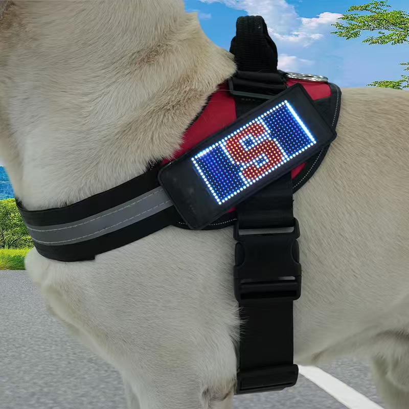 DogDisplay Harness Pro