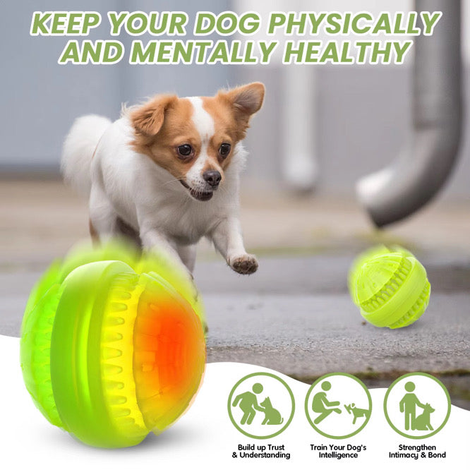 Light Up Dog Ball, glow-in-the-dark fetch toy