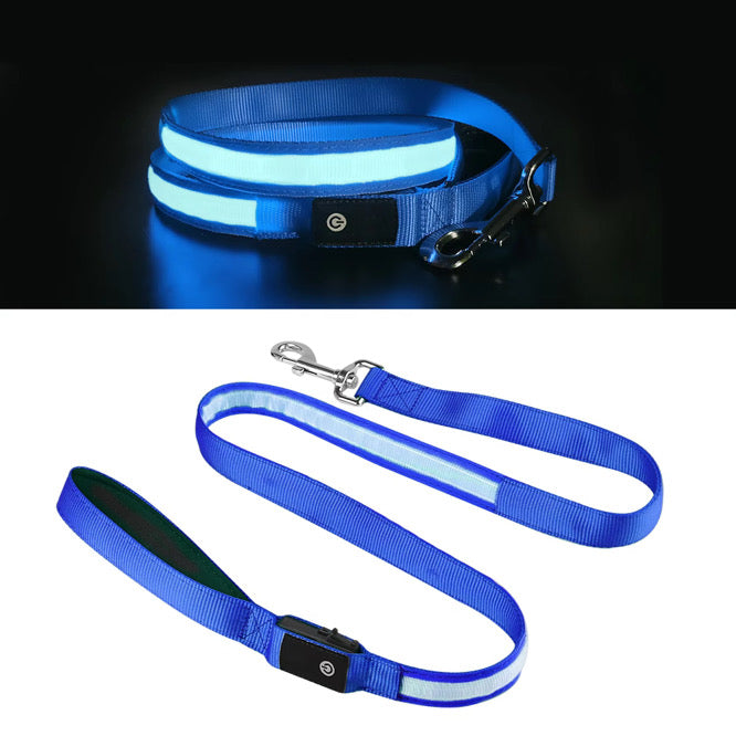 DogDisplay Leash