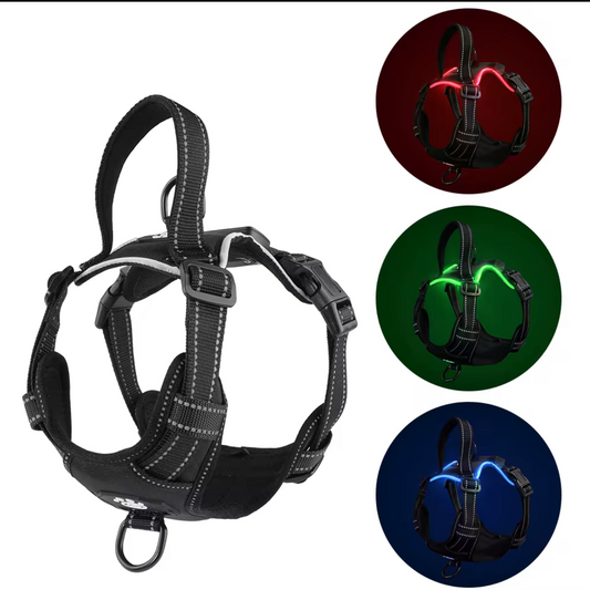 DogDisplay Harness