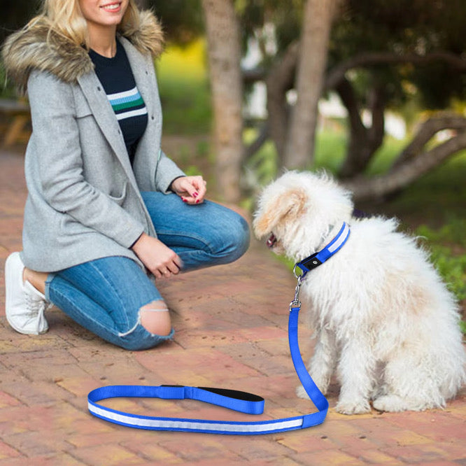 DogDisplay Leash