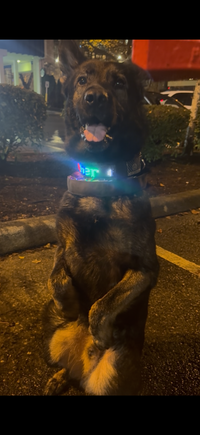 - Mike R., Washington