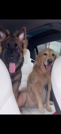 - Mike R., Washington