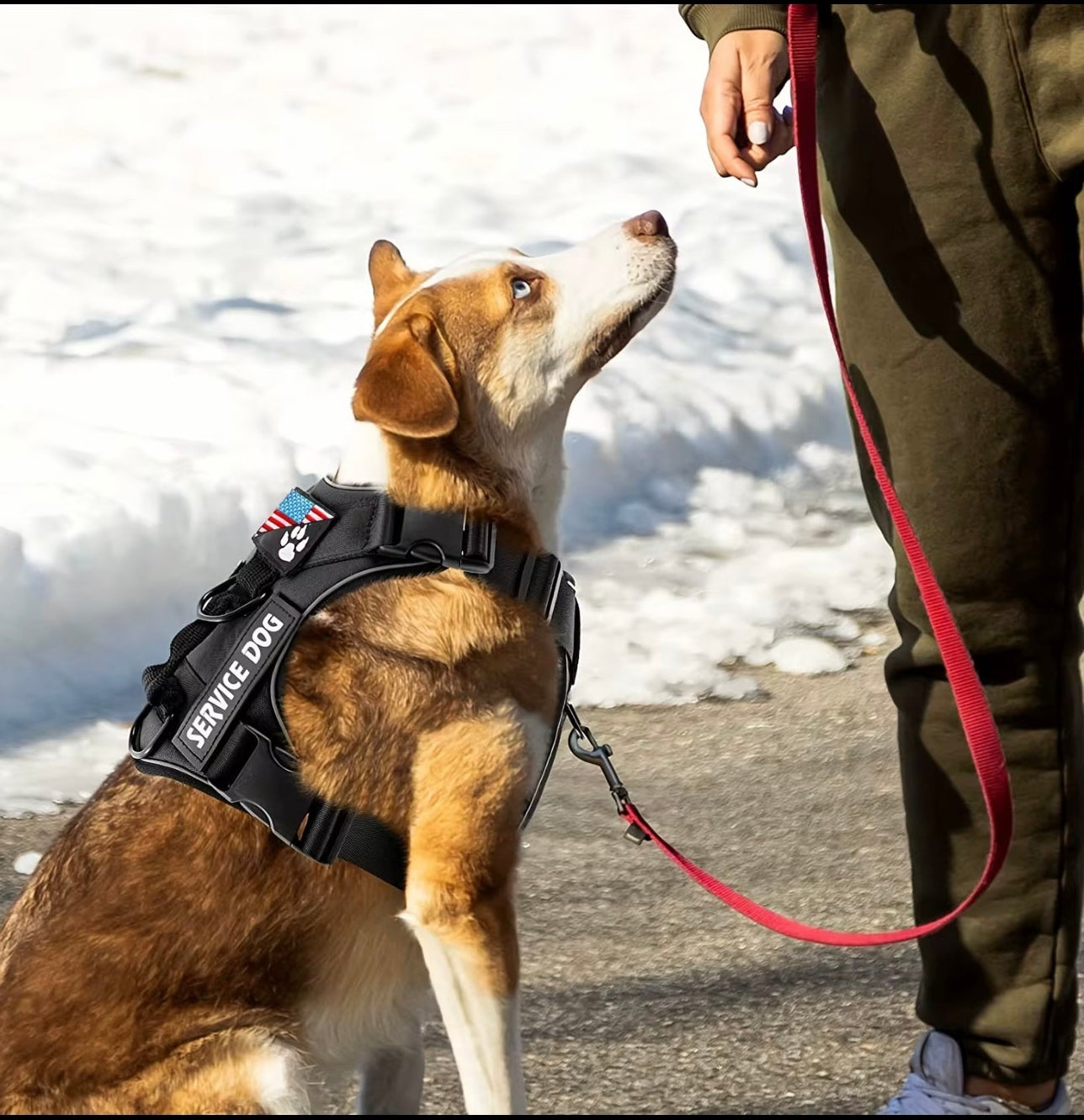 Volk ArmorFit Dog Harness (PRESALE)