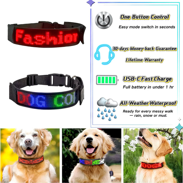 GlowGuard LED Dog Collar